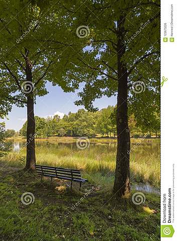 A LONG WALK TO WATER   (Nya)