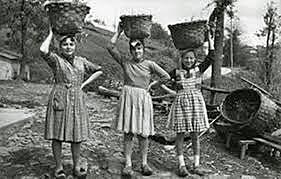 Escuelas de trabajo Georg Kerschensteiner 1912