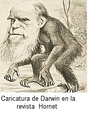 23. Teoría darwinista en el campo de las ciencias sociales