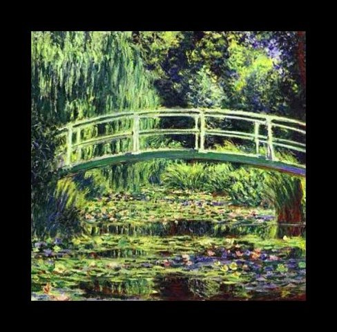 The White Water Lillies