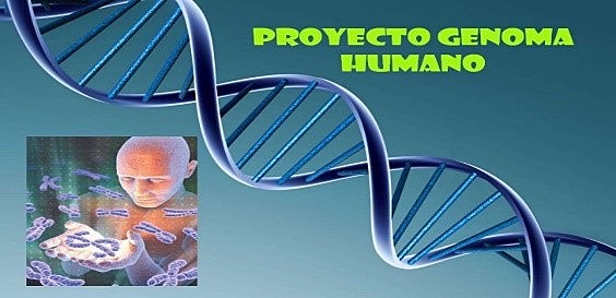 Genoma Humano