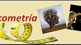 Timeline: Linea del tiempo de la Psicometría