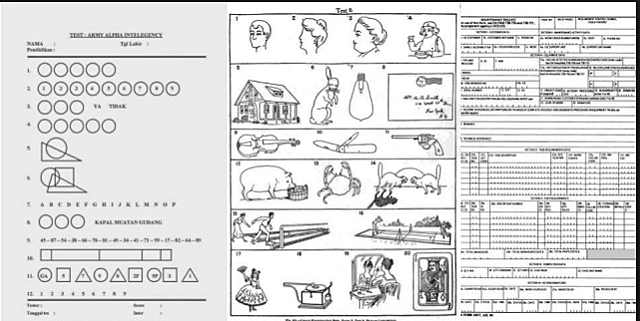 Robert Yerkes (1876-1956)