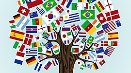 Timeline: Diversidad.