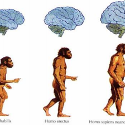 Timeline: Trabajo practico