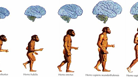 Timeline: Trabajo practico