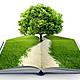 Educacion ambiental