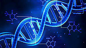 James Watson y Francis Crick