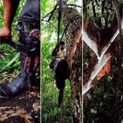 Timeline: El origen del Chicle.