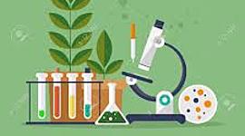 Timeline: Etapas de la biología
