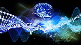 Timeline: Desarollo de las instituciones científicas y tecnológicas en México del siglo XX