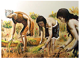 Educación Primitiva