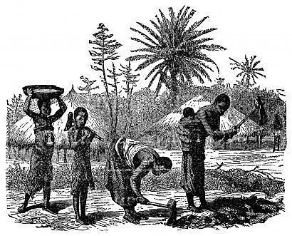 Siglo XIX - Siglo XX