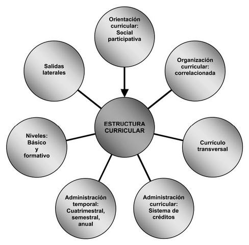 ENFOQUE CURRICULAR CONTEXTUALZADO