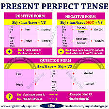 PRESENT PERFECT SIMPLE