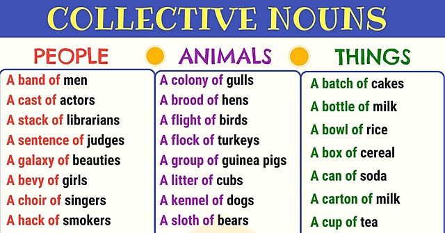 COLLECTIVE NOUNS
