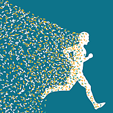 Final Transformation