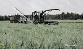 Судьба совхоза