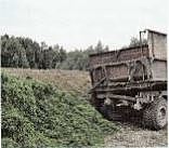 Овощемолочный совхоз