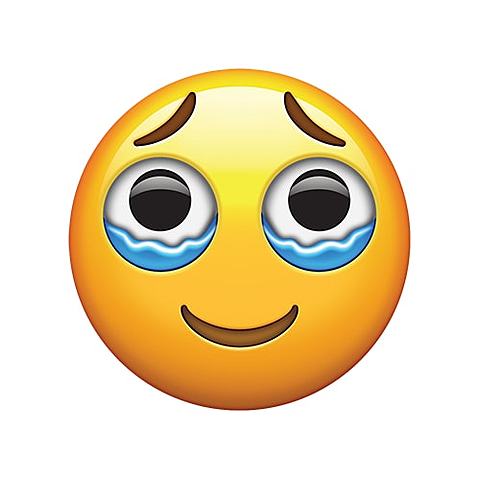 First Day of Senior Year