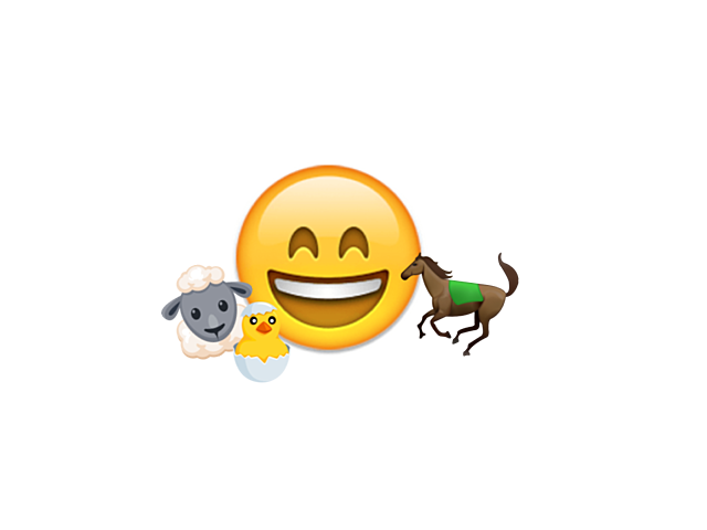 Started volunteering at a local farm