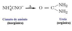 Início da queda da Teoria da Força Vital
