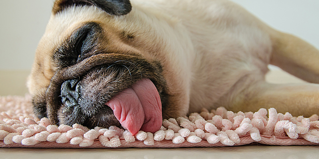 waking up at 6 a.m for championship soccer game