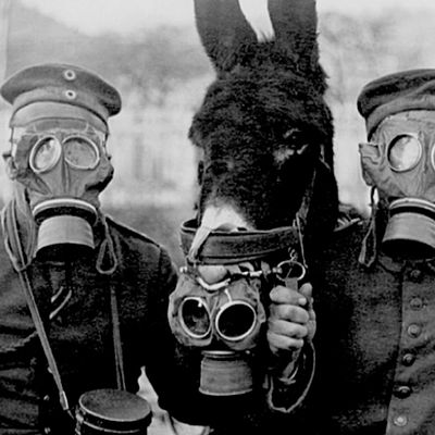 Timeline: I MUNDU GERRAREN GARAPENA