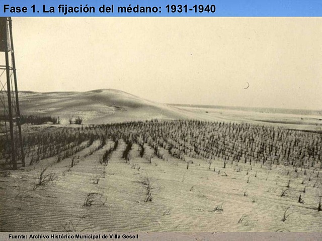 Primer conocimiento de hectarias