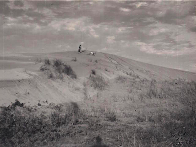 Compra de hectáreas