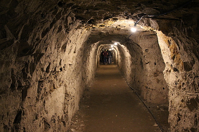 Los comienzos de Mijail Kolvenik