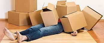 ¿Cuando se mudaron a la casa donde viven?