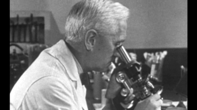 Discovery of Penicillin