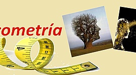 Timeline: Línea de tiempo de los test y la psicometría. By: Andry Hdez Q.