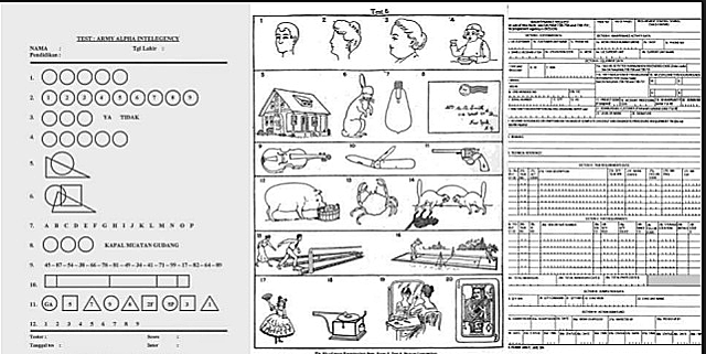 Robert Yerkes (1876-1956)