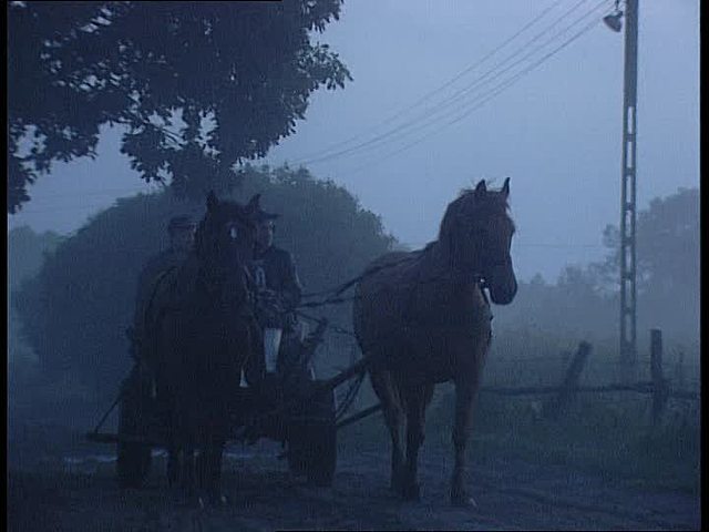 Oscar Reconoce el Carruaje de la Dama de Negro (Cementerio, Barcelona)