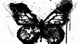 Timeline: Marina (Ximena Ramírez Muciño 2ºA)