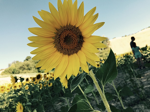 Surprise Trip to Italy