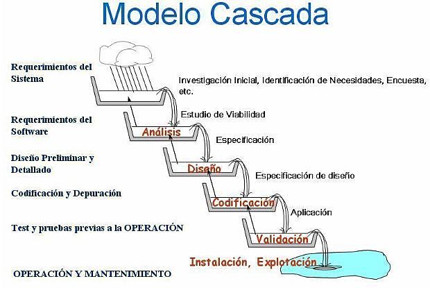 •Ciclo de vida - 1985