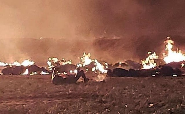 Finales de 1979 (2° parte)