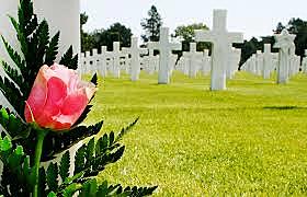 Sin cura (finales de 1980)