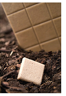 Gomas con Chicle Natural