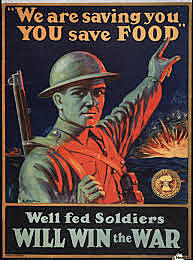 Propaganda and Nationalism influenced war