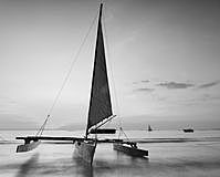 6. Irene conoce a Ismael