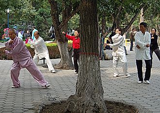 Tai Chi