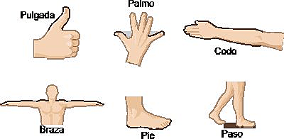 Unidades antropomórficas