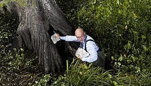 Campaigning for President