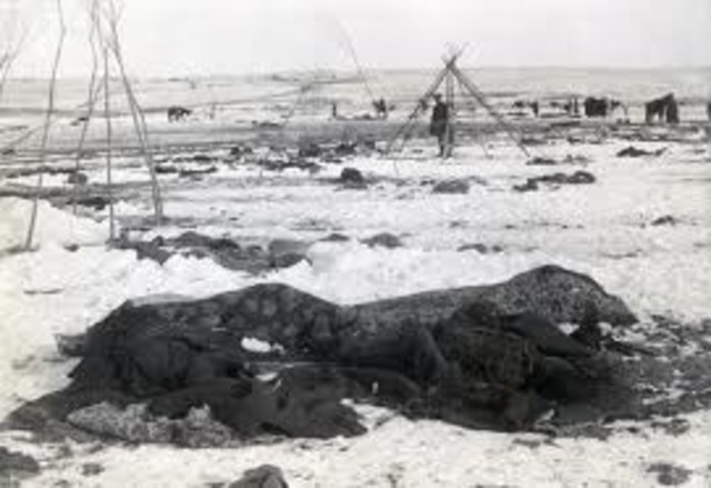 Battle of Wounded Knee