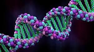 El ADN es el material genético y no las proteínas.