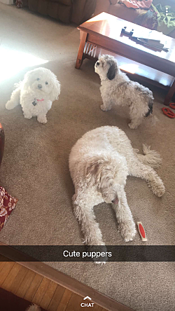 Opal hangs out with her aunt and uncle